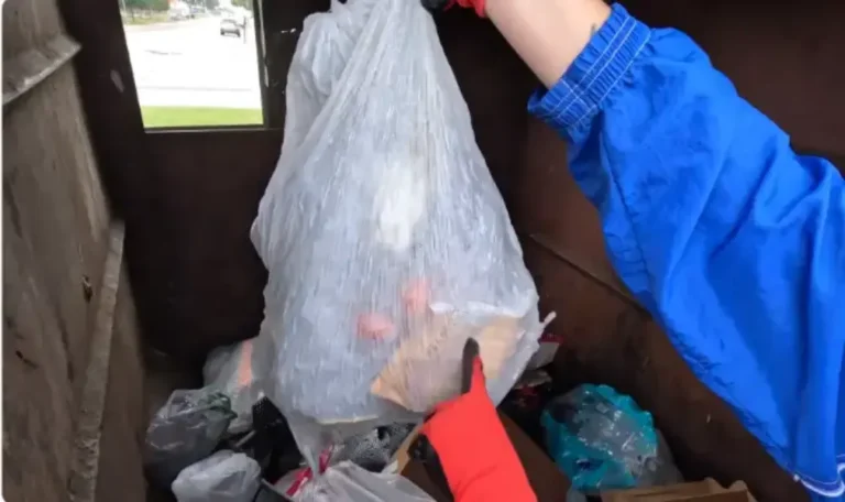 Sorting junk inside a roll-off dumpster during a Fresno cleanout