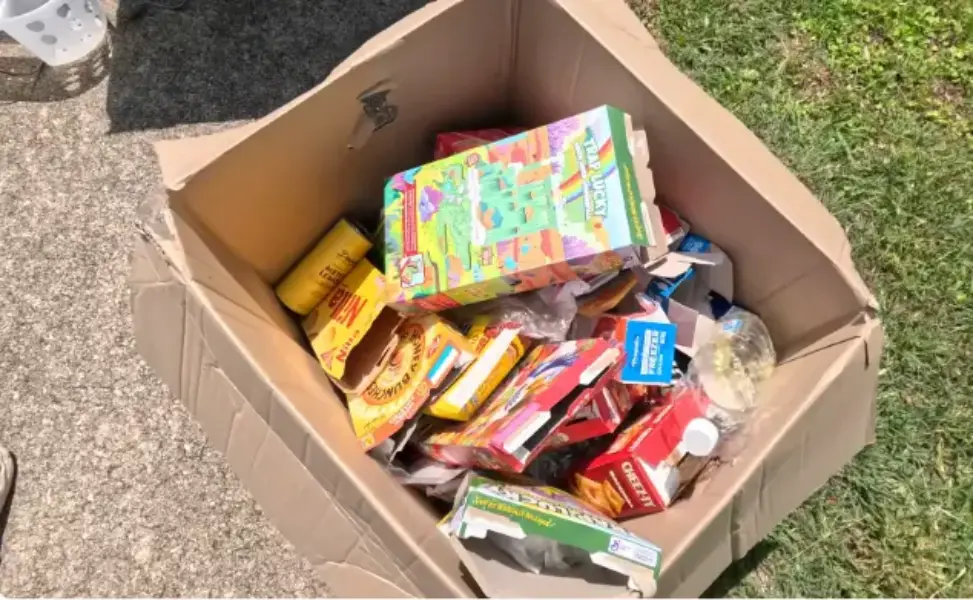 Box of household items cleared out during a Fresno move